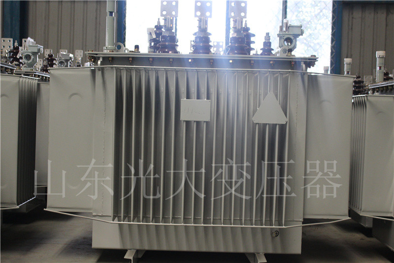 贵南S20-1000KVA油浸式变压器